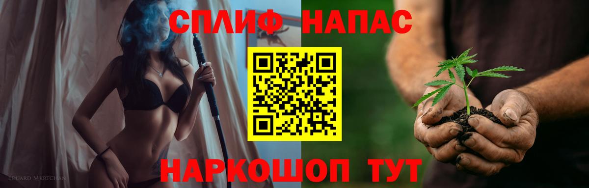 Каннабис OG Kush Узловая